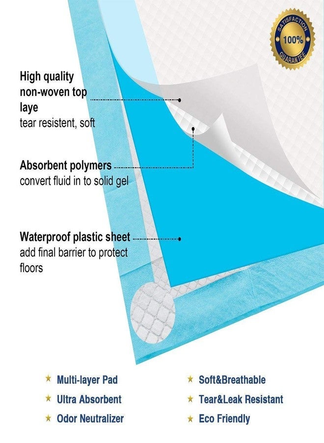 Petlicious & More (45 cm X 60 cm -10 Count) Training Pads, Super Absorbent, Water Proof, Non Slippery, 10 Count (Pack of One, Total Count - 10) - Image 3